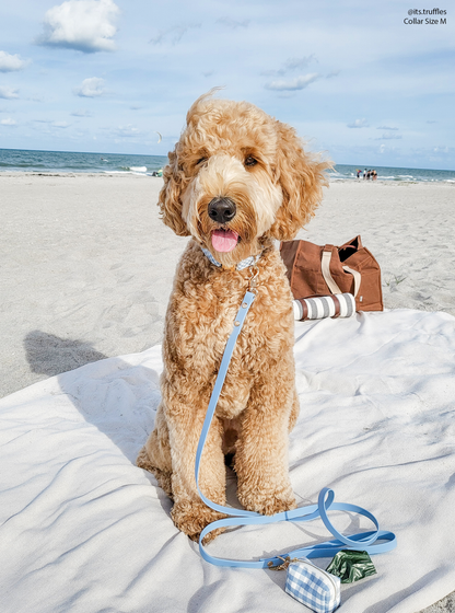 Dog Leash Waterproof - Malibu Blue | 4 ft, 5 ft, 6 ft