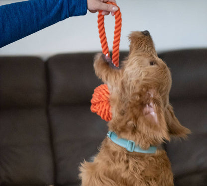 ThoozyPet Ball Tug Rope Orange 5"
