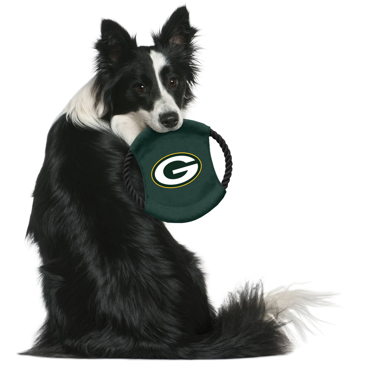Packers Flying Disc