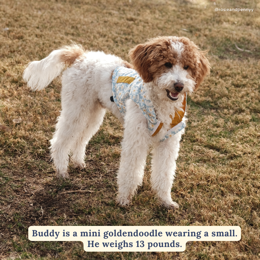 Simply Splendid Reversible Raincoat
