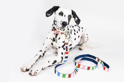 Kate Spade Large Dog Leash, Adventure Stripe