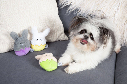 Midlee Easter Bunny Egg Toys