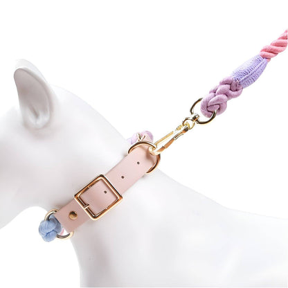 Loofie - Colorful Dog Collar & Leash (not sold as a set)