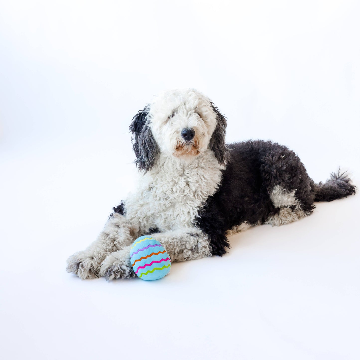 Midlee Plush Easter Egg Dog Toy - Blue