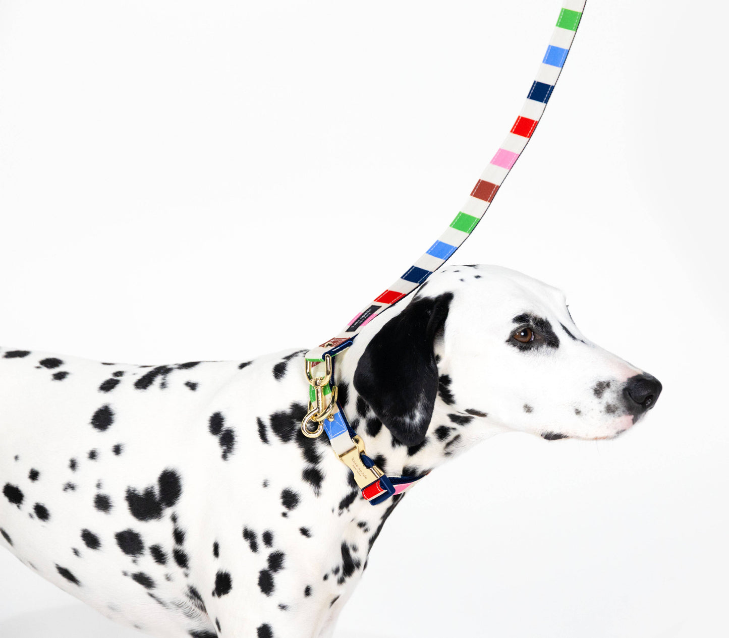 Kate Spade Large Dog Leash, Adventure Stripe