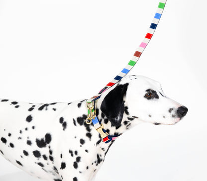 Kate Spade Large Dog Leash, Adventure Stripe