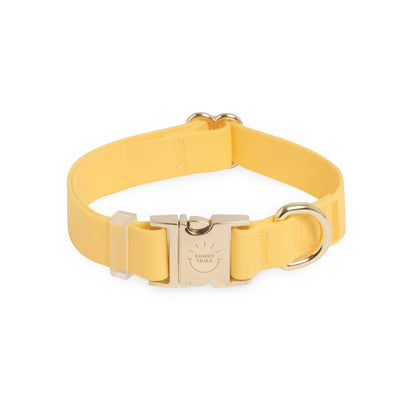 Dandelion Yellow Waterproof Dog Collar