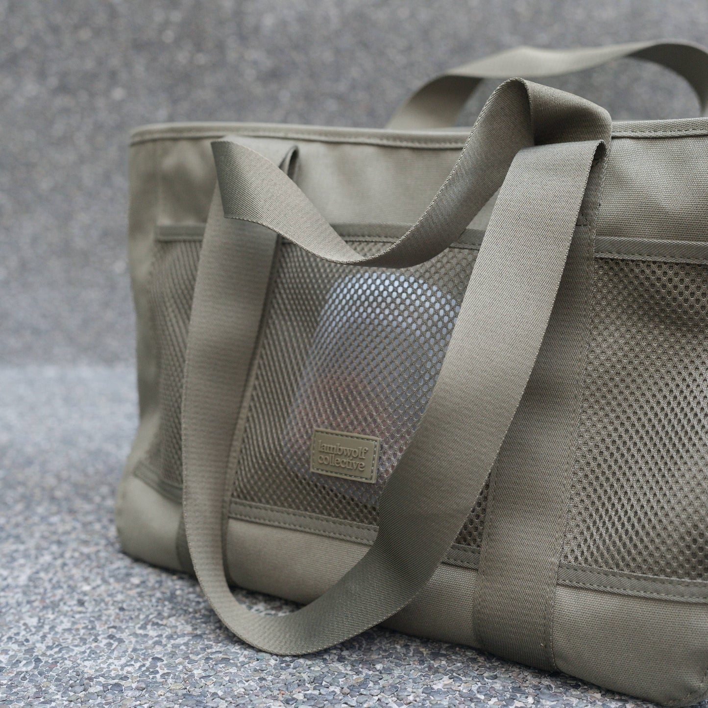 SUBWAY PET CARRIER