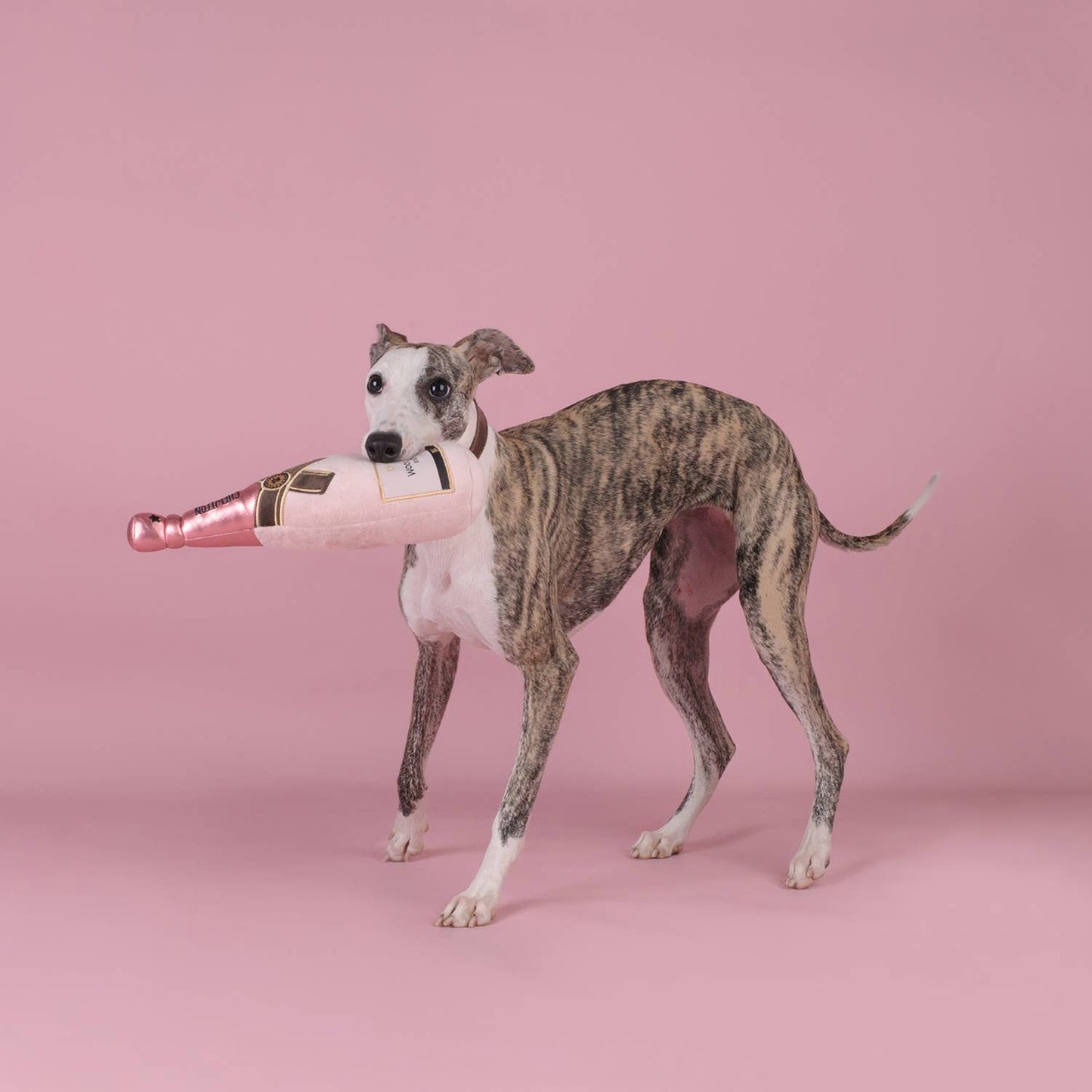 CHEWFFON Pink Champagne Bottle Plush Squeaky Dog Toy