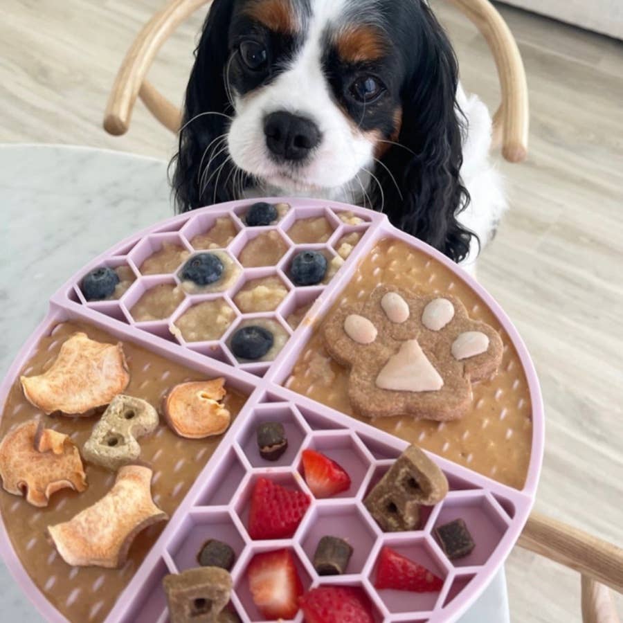 Sweetheart Snack (V-Day)  Buddy Budder