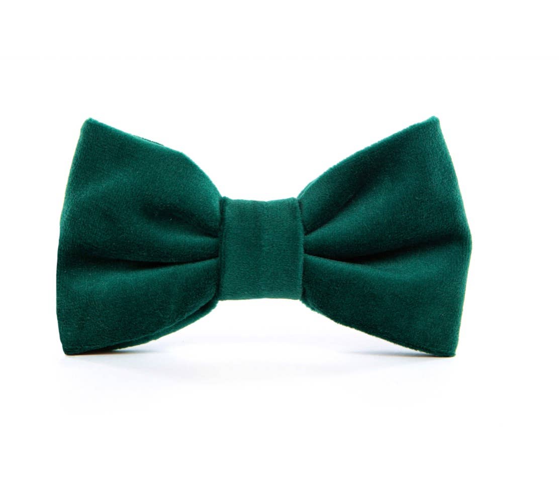 Foggy Dog Forest Green Velvet Bow Tie
