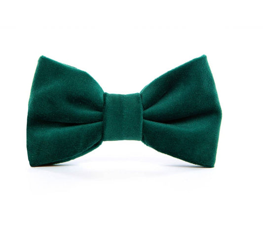 Foggy Dog Forest Green Velvet Bow Tie