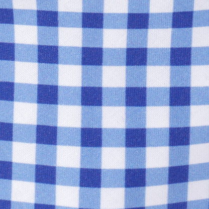 Blue Gingham Dog Bandana