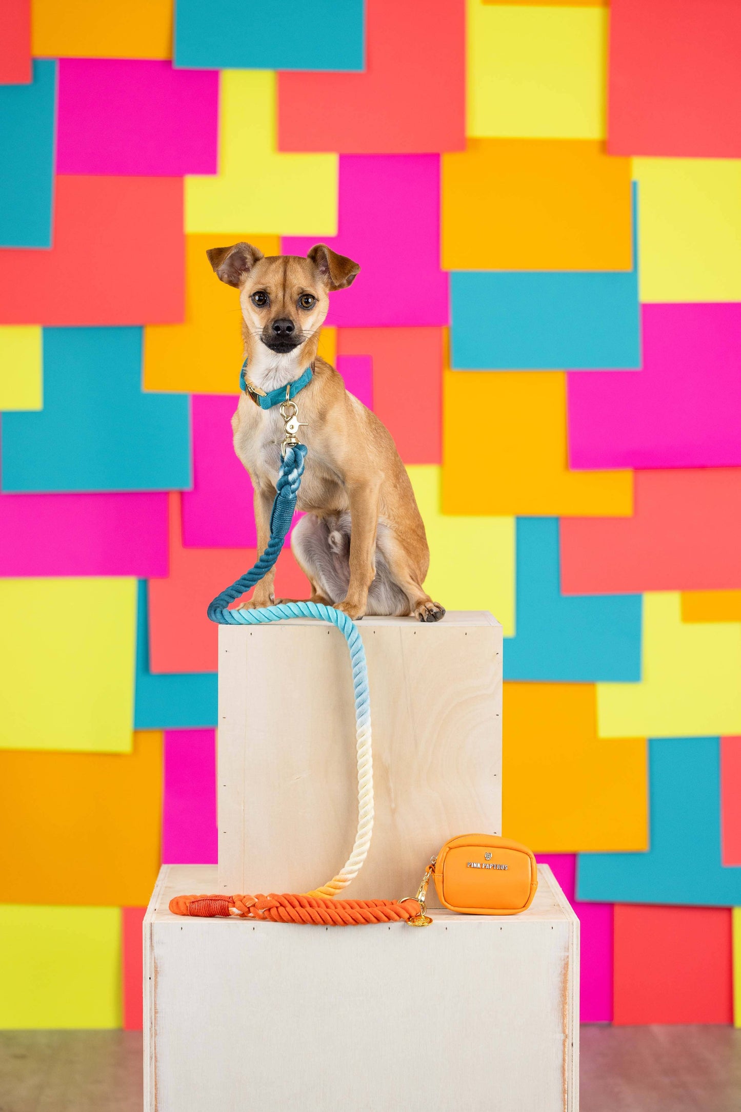 Beau Rope Dog Leash | Blue Orange
