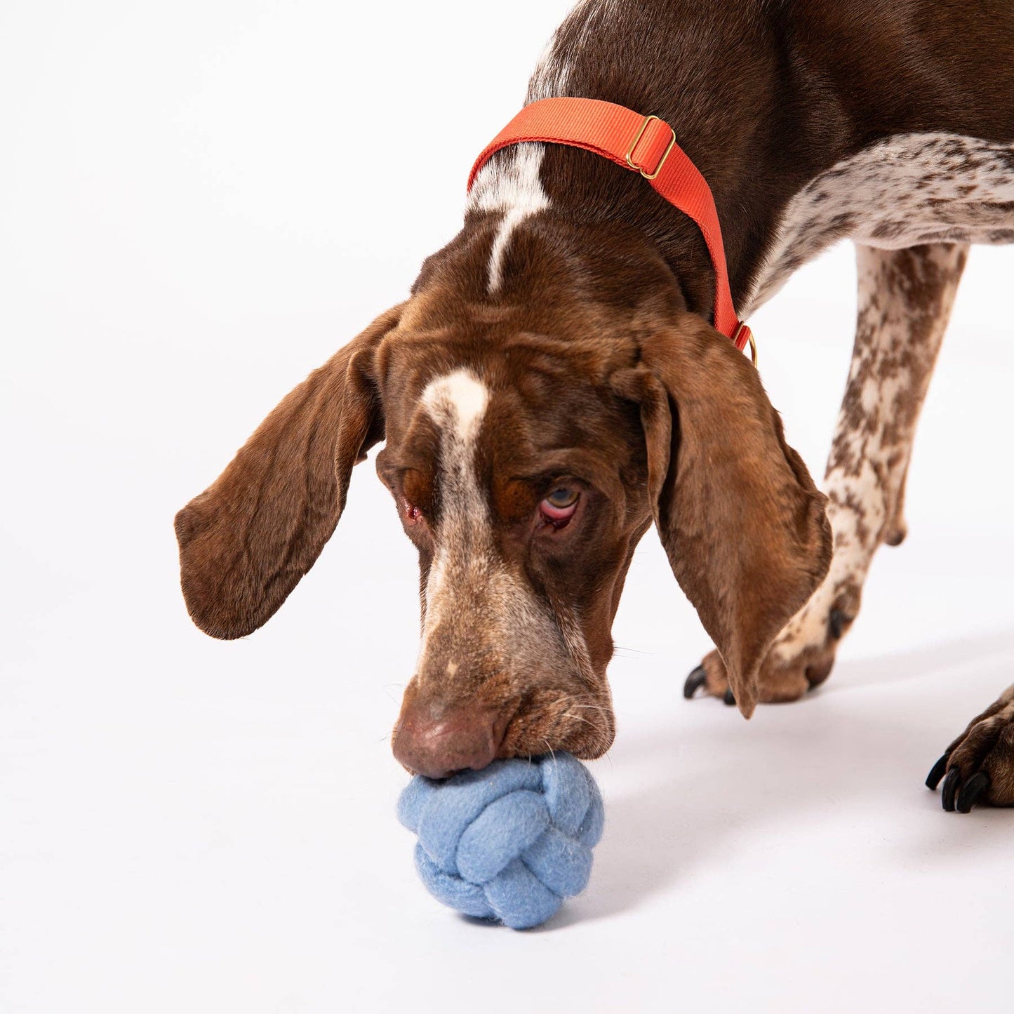 Awoo Knot Today Felt Puzzle Toy