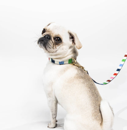 Kate Spade Small Dog Collar, Adventure Stripe