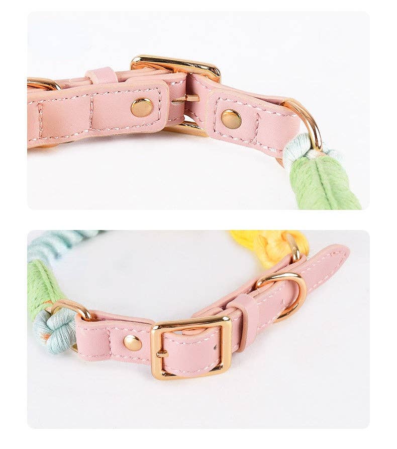 Loofie - Colorful Dog Collar & Leash