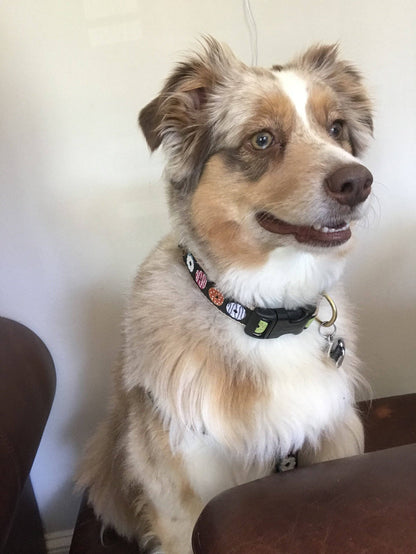 Donuts Dog Collar