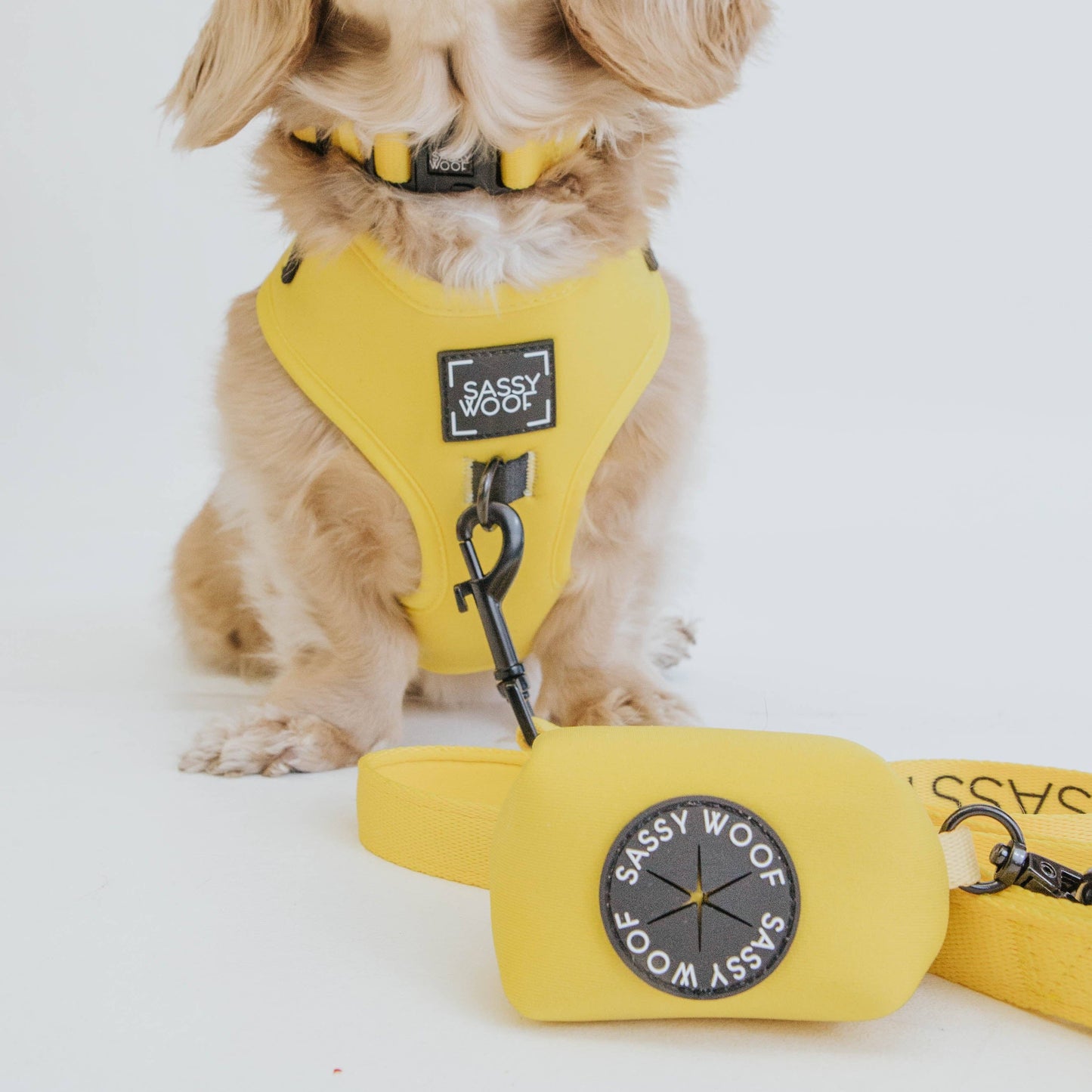 Dog Waste Bag Holder - Neon Yellow