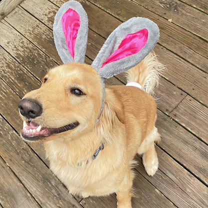 Midlee Easter Bunny Rabbit Ears with Tail