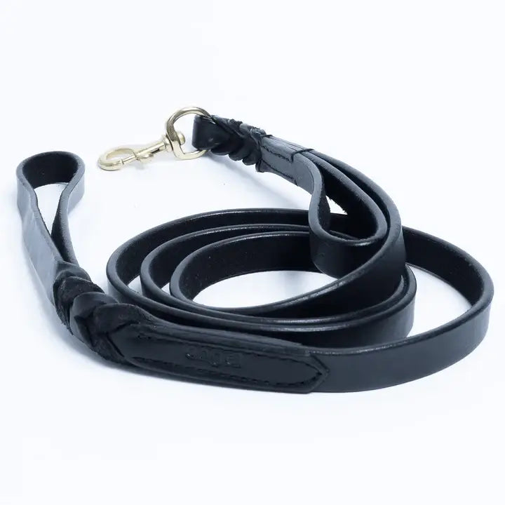 Leather Braided Leash DBL Handle by ANGEL™