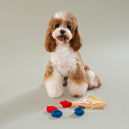 CHEWFFON Crepe Snuffle & Treat Puzzle Toy