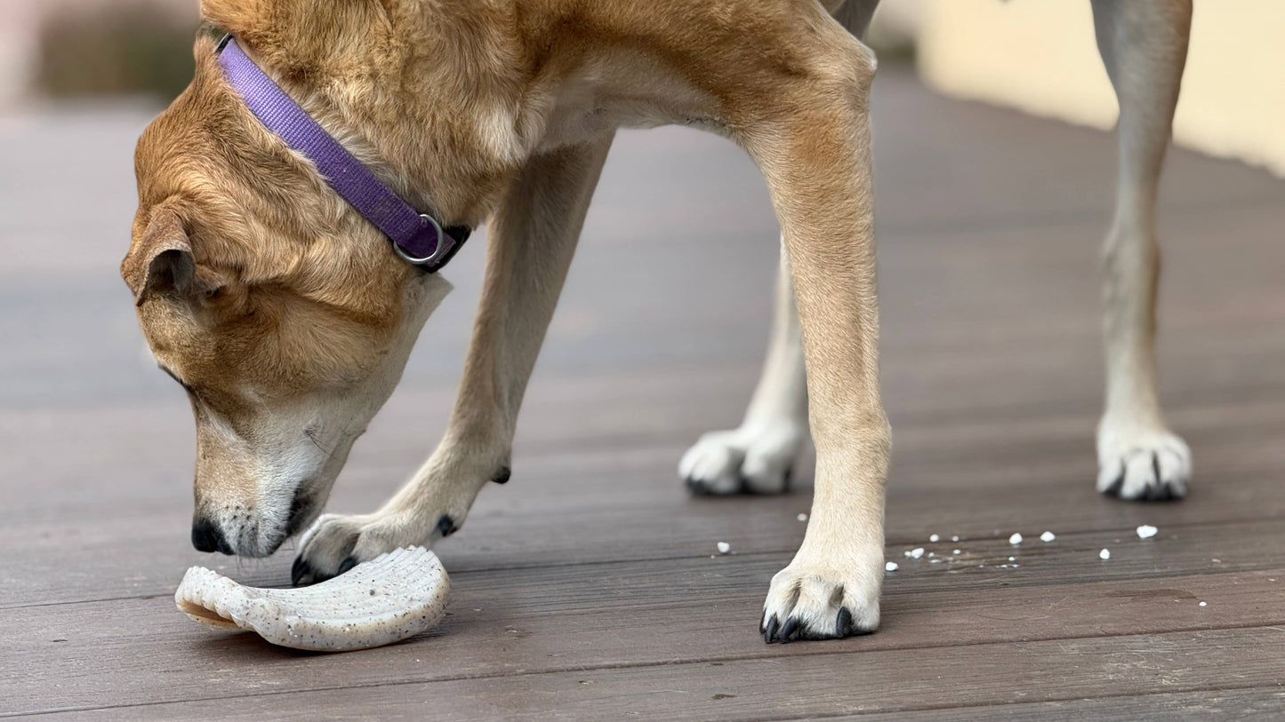 Potato Chip Nylon Chew & Enrichment Toy | SodaPup