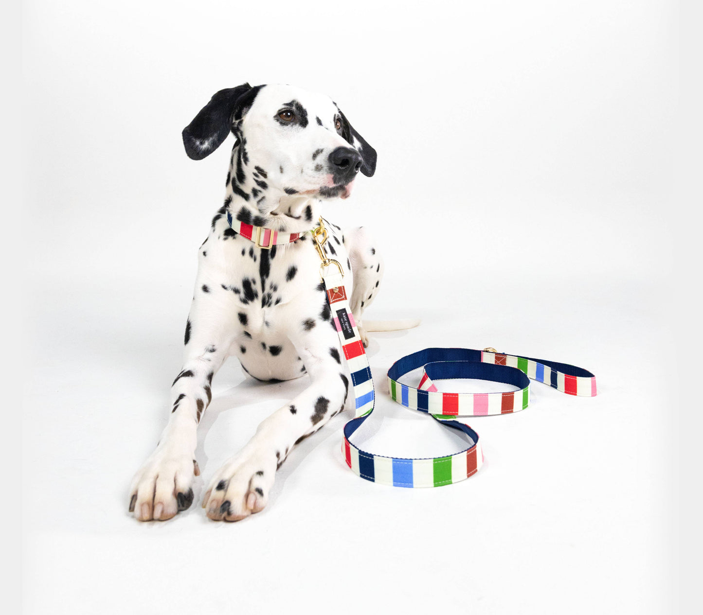 Kate Spade Large Dog Leash, Adventure Stripe