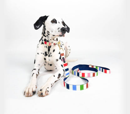 Kate Spade Large Dog Leash, Adventure Stripe