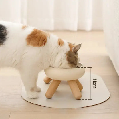 Ceramic Elevated Food Bowl