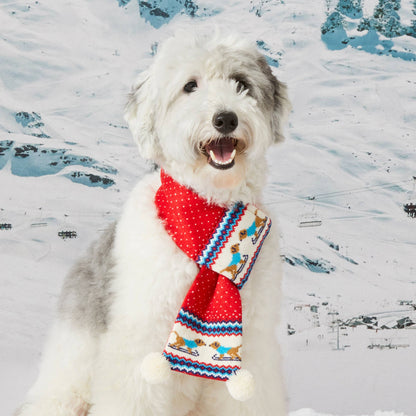 Foggy Dog Hit the Slopes Knit Scarf