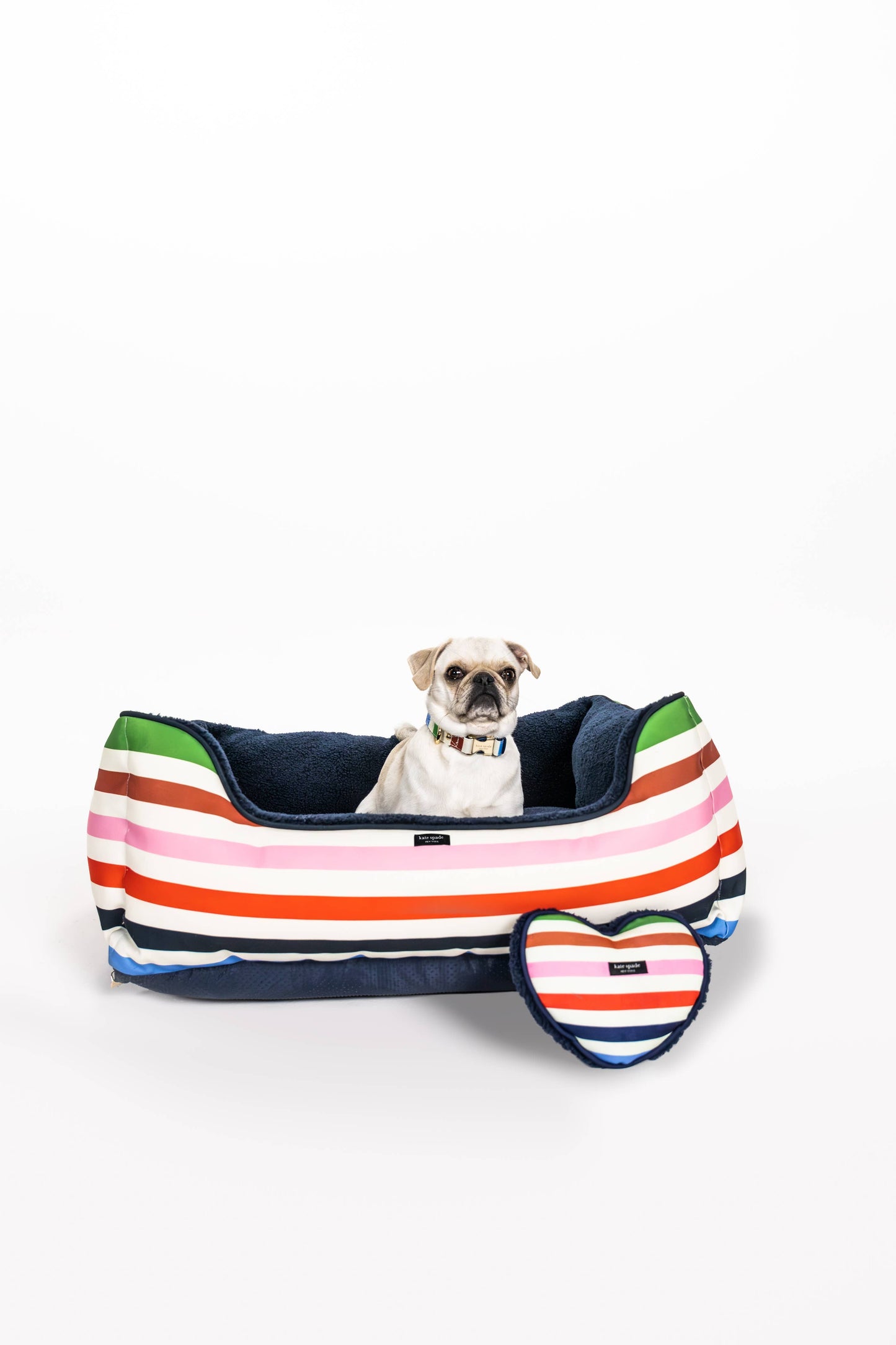 Kate Spade Small Dog Collar, Adventure Stripe