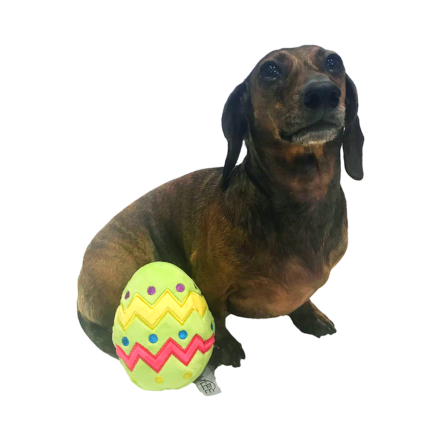 Midlee Plush Easter Egg Dog Toy with Squeaker