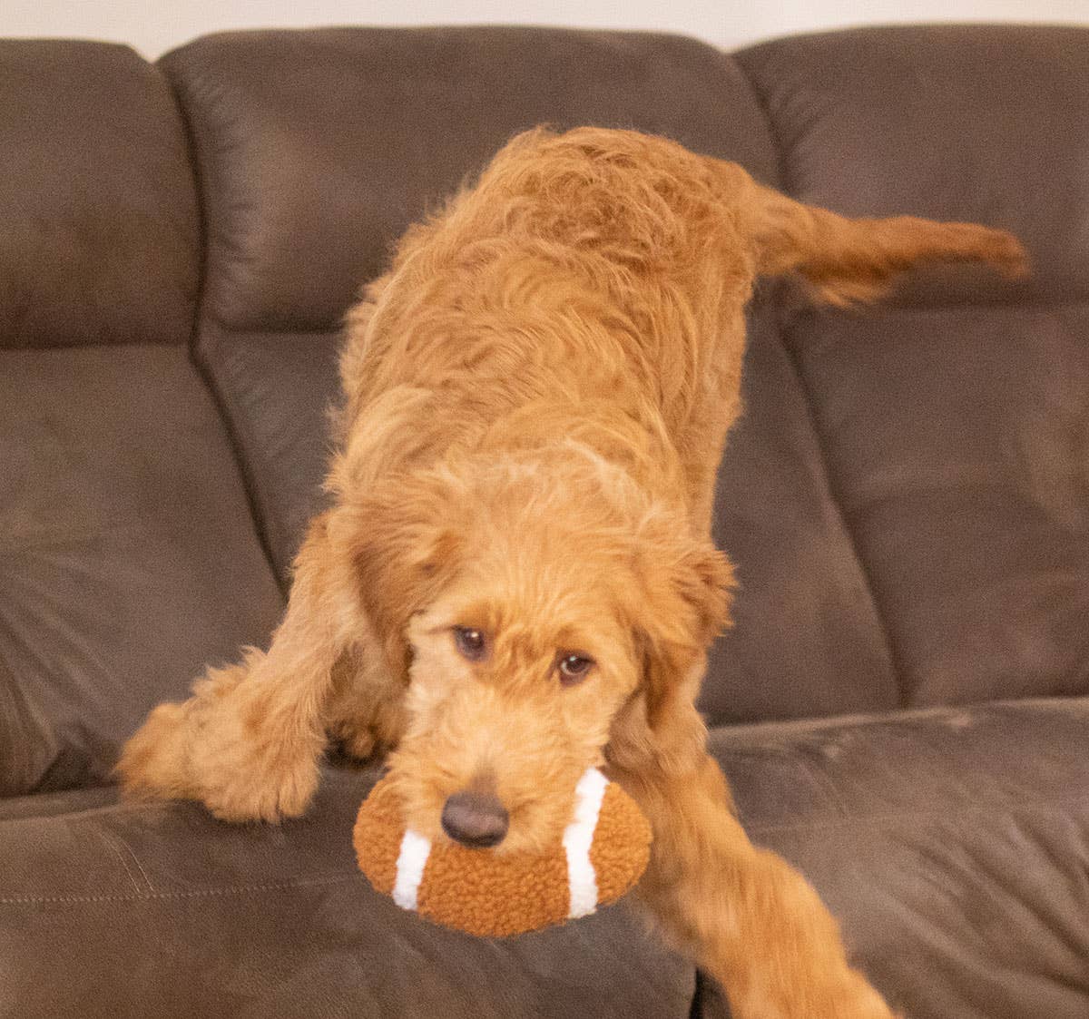 Thoozy Football Plush 6.5in