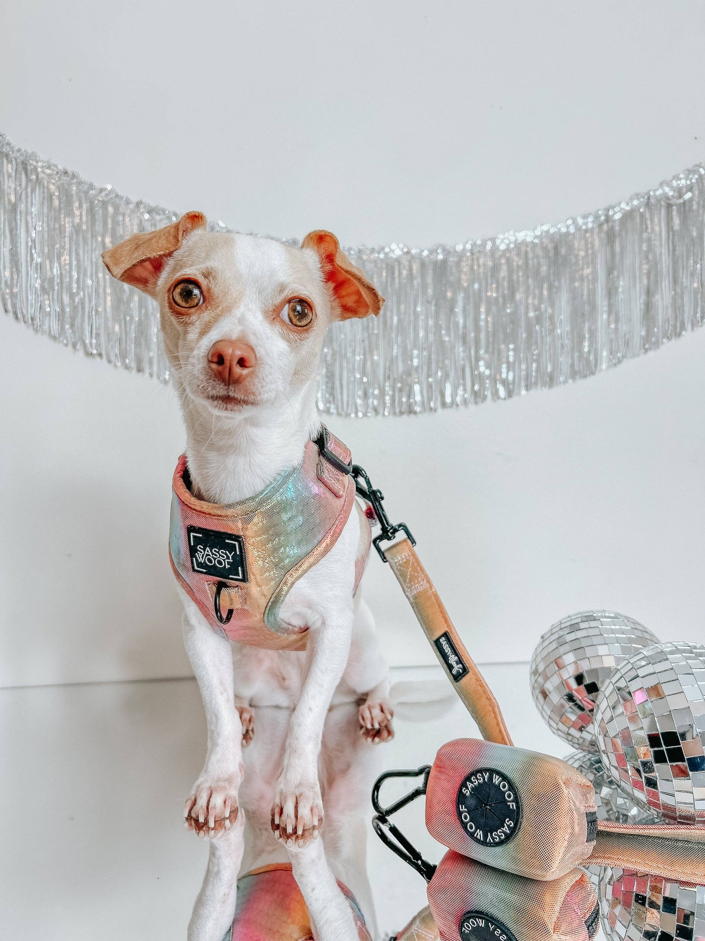 Dog Waste Bag Holder - The Night Life