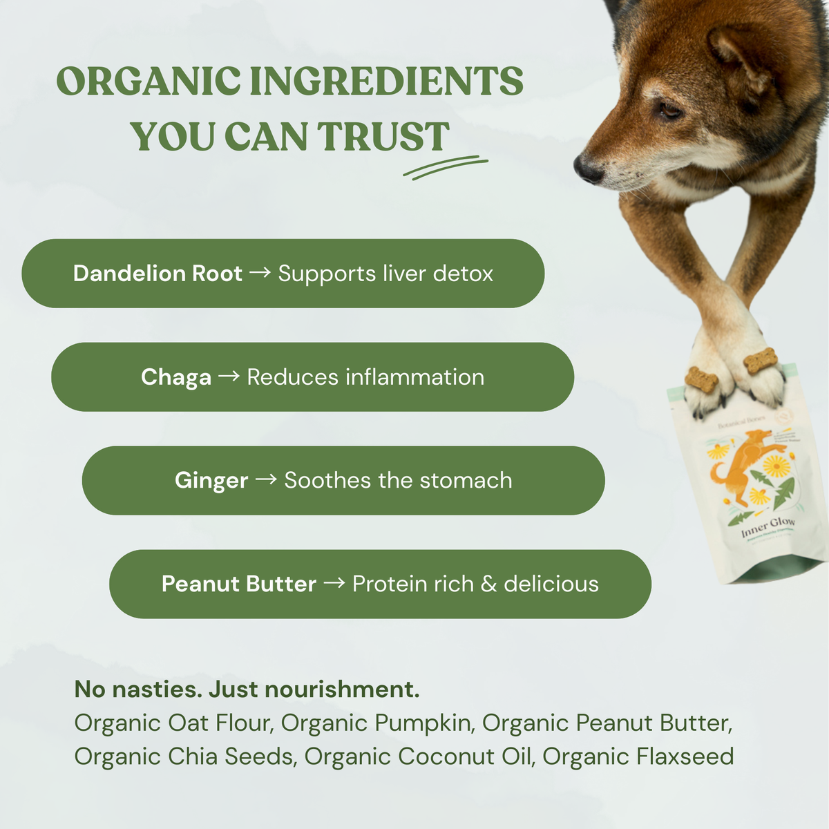 Inner Glow Cookies - All Natural, Organic Dog Treats