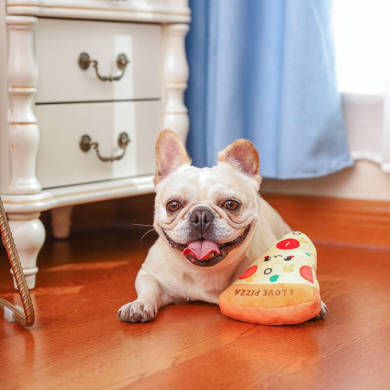 HugSmart Pizza Toy