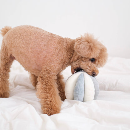 TOTO DOG TOY
