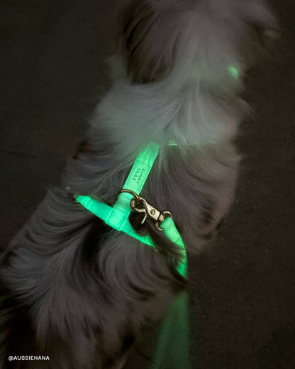 Dog Leash Waterproof - Lunar Glow | 4 ft, 5 ft, 6 ft