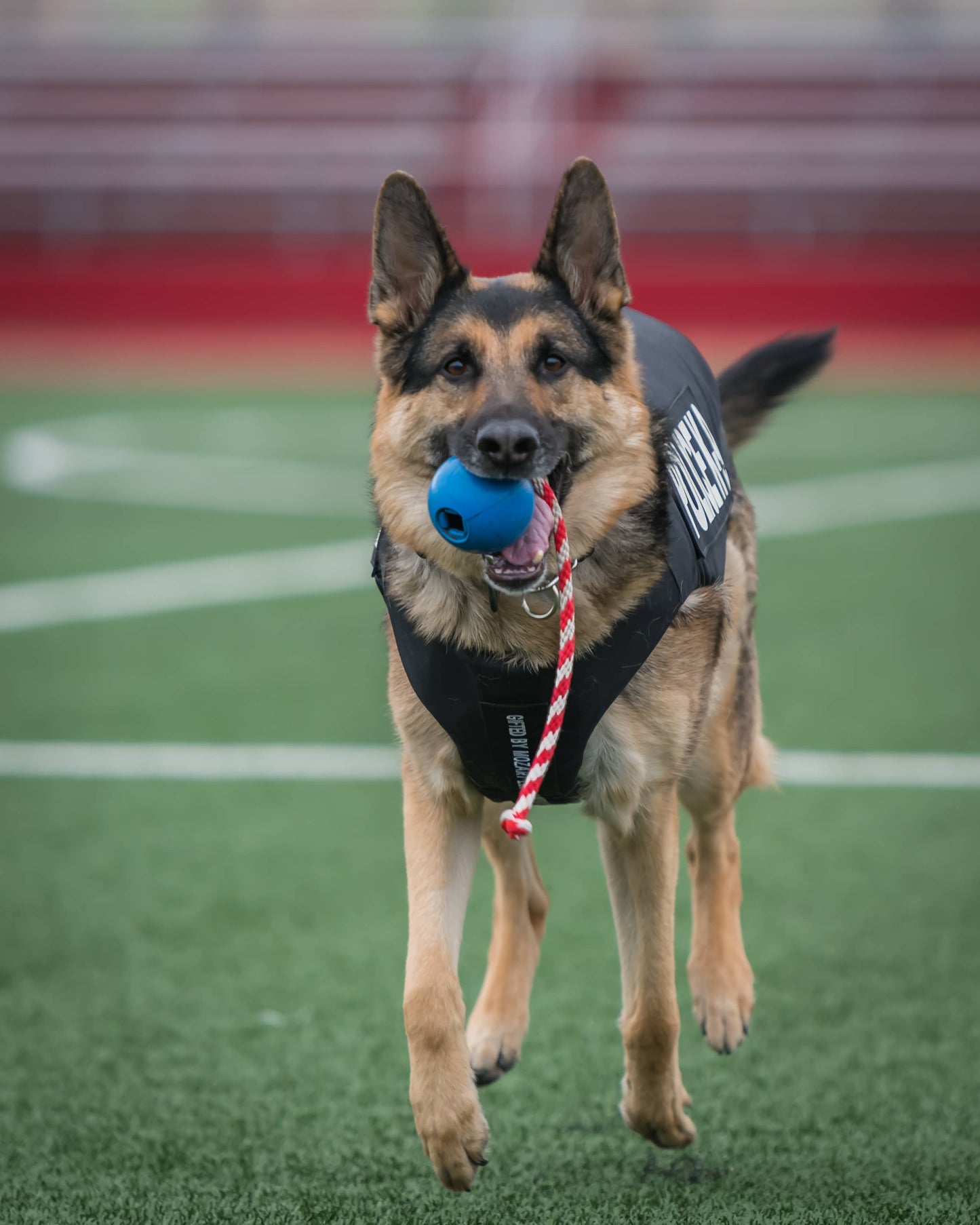 USA-K9 Cherry Bomb - Chew Toy - Reward Toy