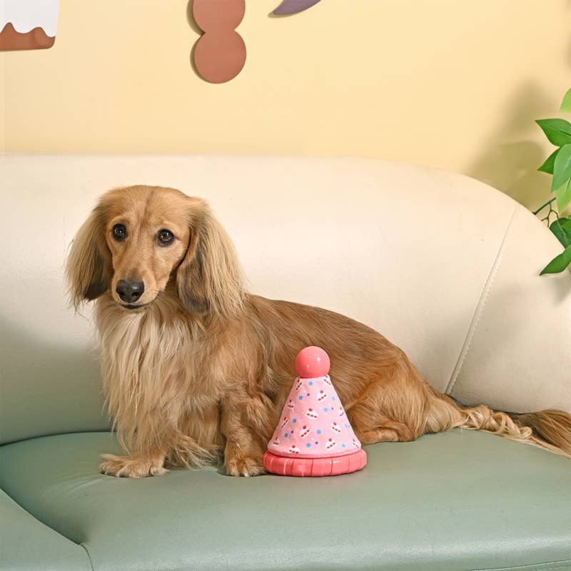 HugSmart Pink Party Hat - TPR Rubber