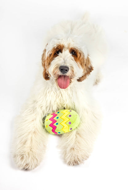 Midlee Plush Easter Egg Dog Toy with Squeaker