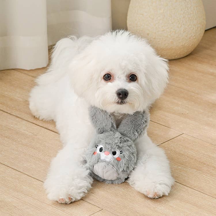 HugSmart Pet -  Farm Friendz | Bunny - Dog Ball Toy