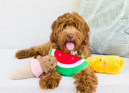 NomNomz® - Ice Cream - Summer Dog Toy