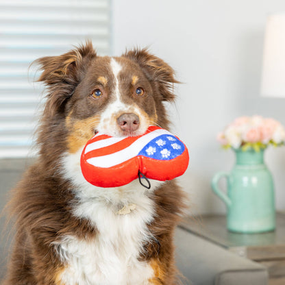 Paws & Stripes Heart Dog Toy