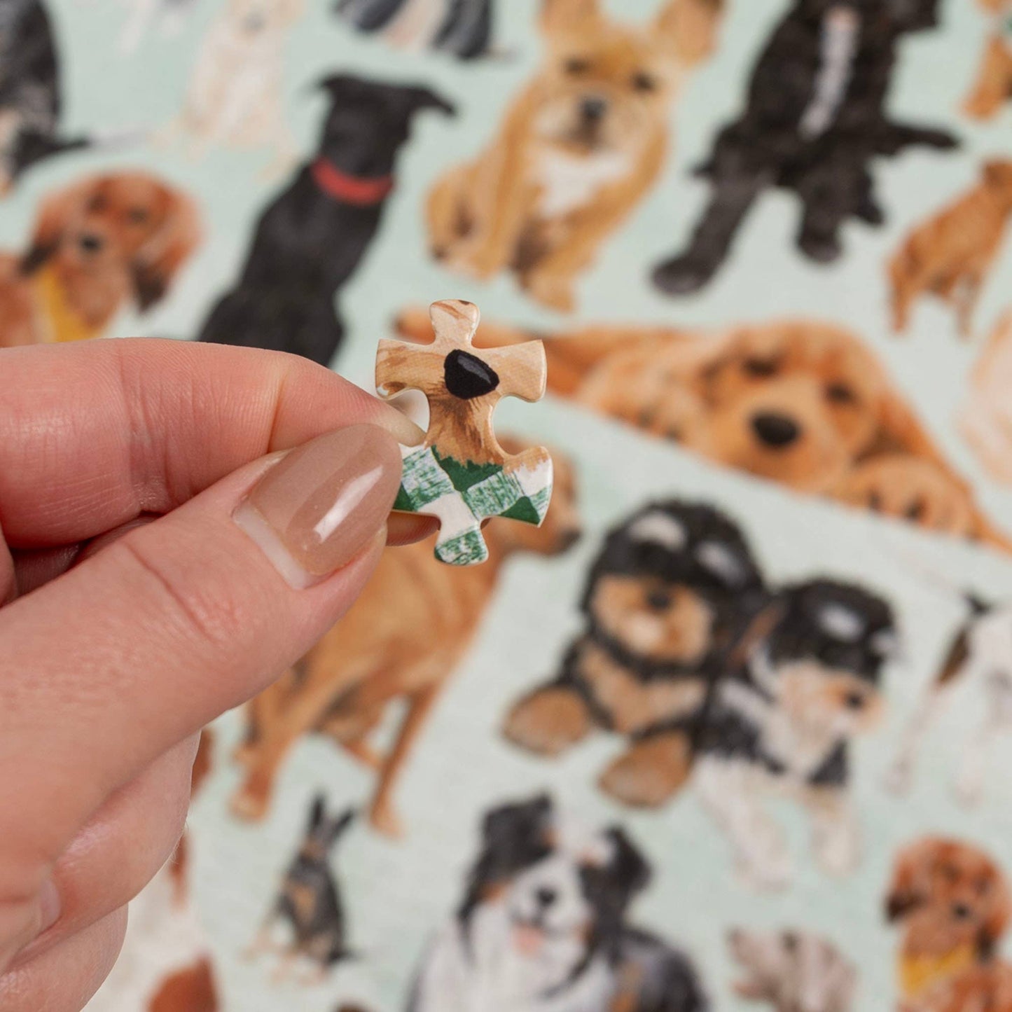 Furry Friends - 1,000 Piece Dogs Jigsaw Puzzle
