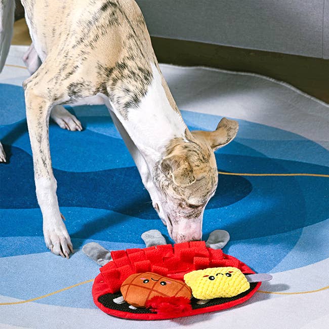 OrilandPet BBQ Grill Toy