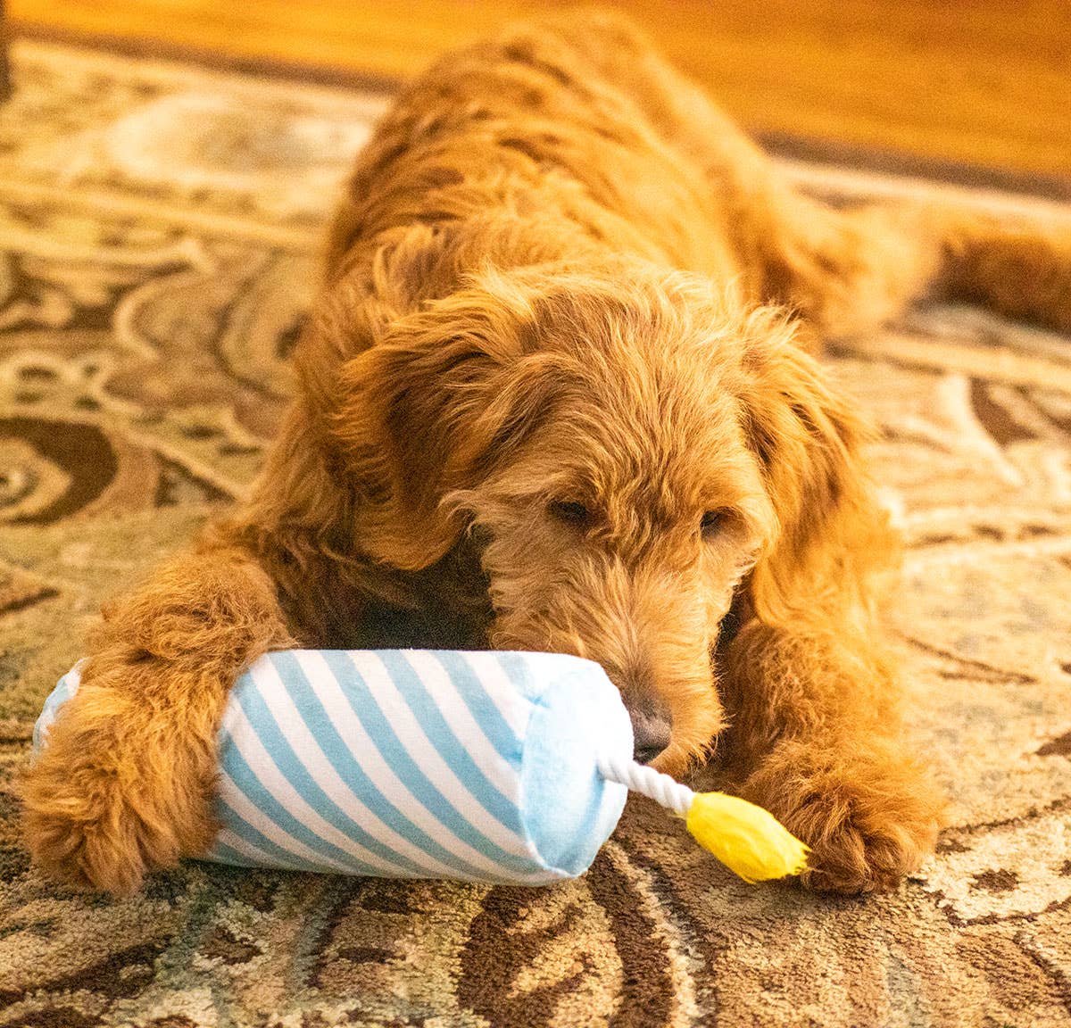 ThoozyPet Birthday Candle Blue w/ Rope 16"
