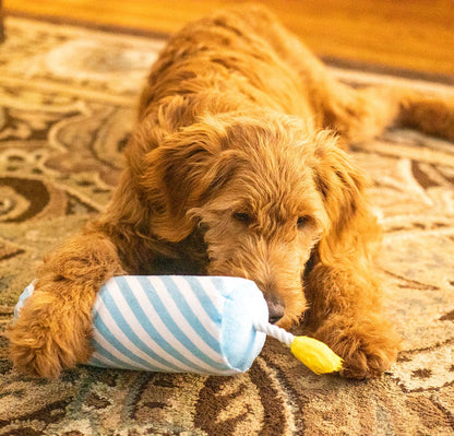 ThoozyPet Birthday Candle Blue w/ Rope 16"