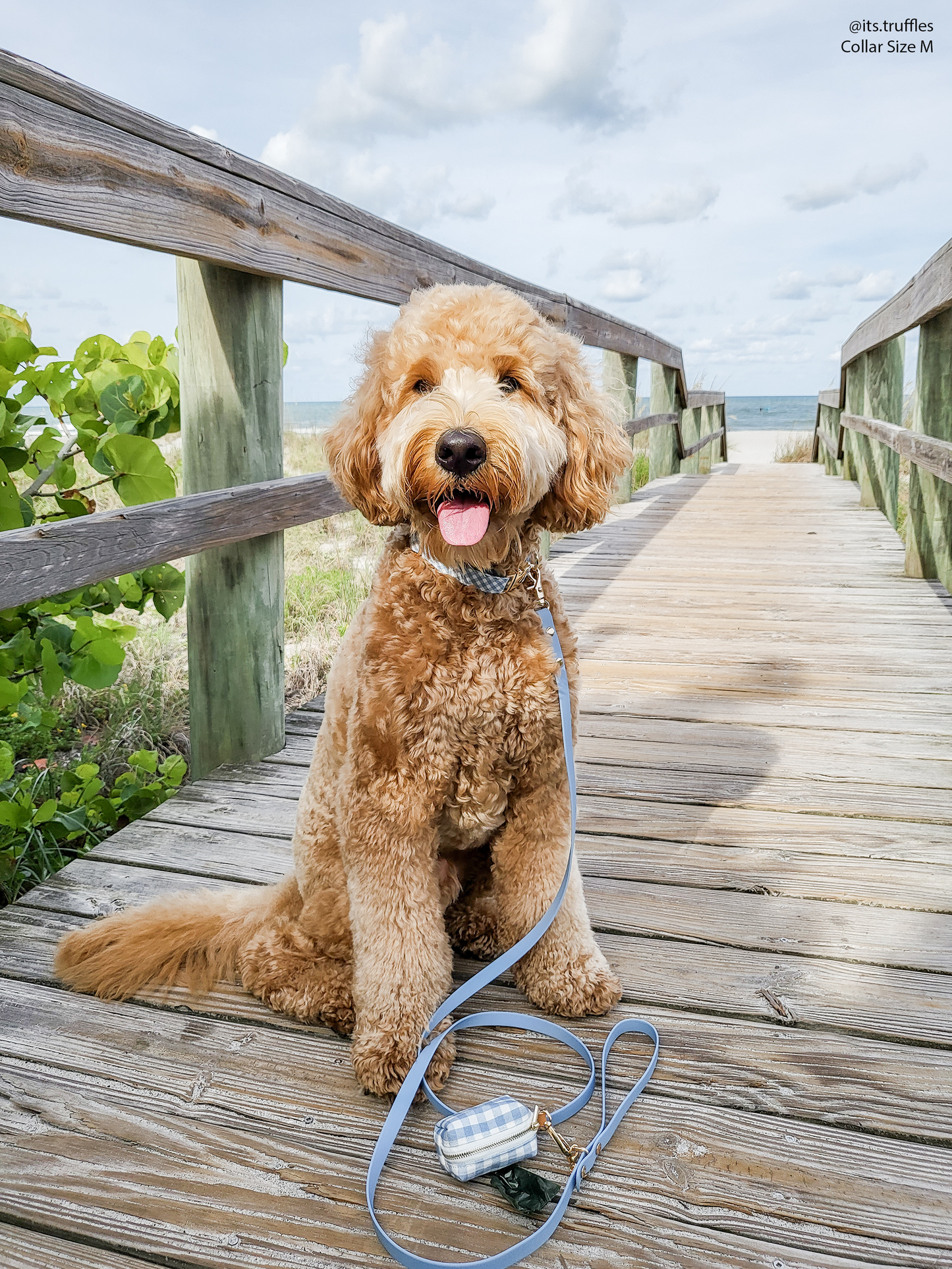 Dog Leash Waterproof - Malibu Blue | 4 ft, 5 ft, 6 ft